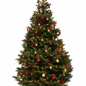 VRAI SAPIN